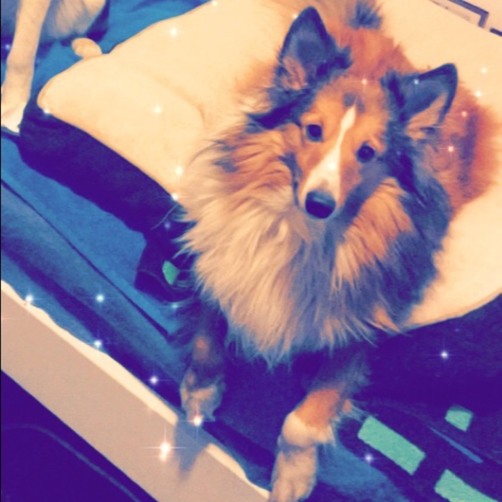 Meet your Posher, Sandra